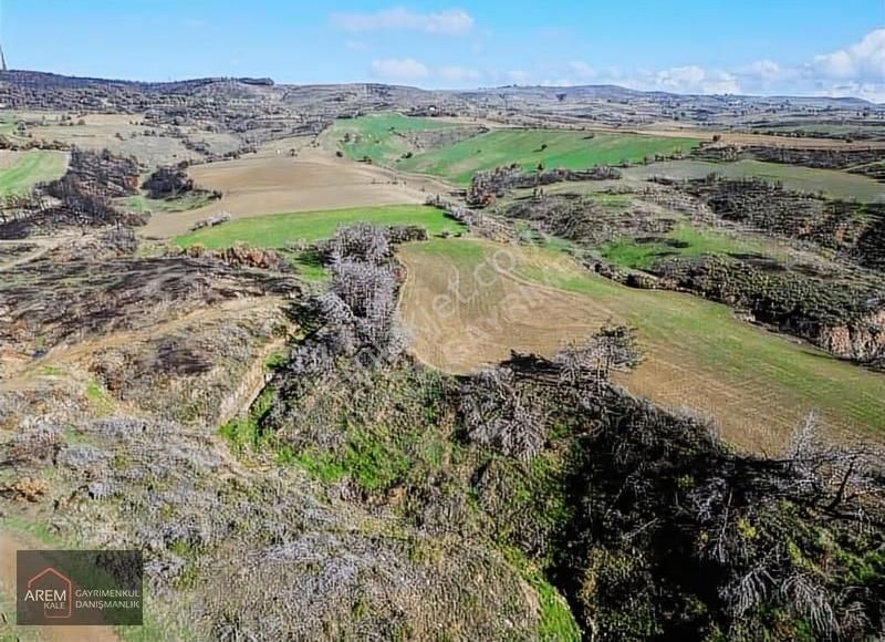 Çanakkale Kalabalıklı Da Yatırımlık Koop. Hissesi - Görsel 9