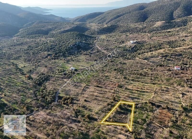 Marinden Cumalı Mah. 873m2 Resmi Yolu Alan Badem Bahçesi - Görsel 5