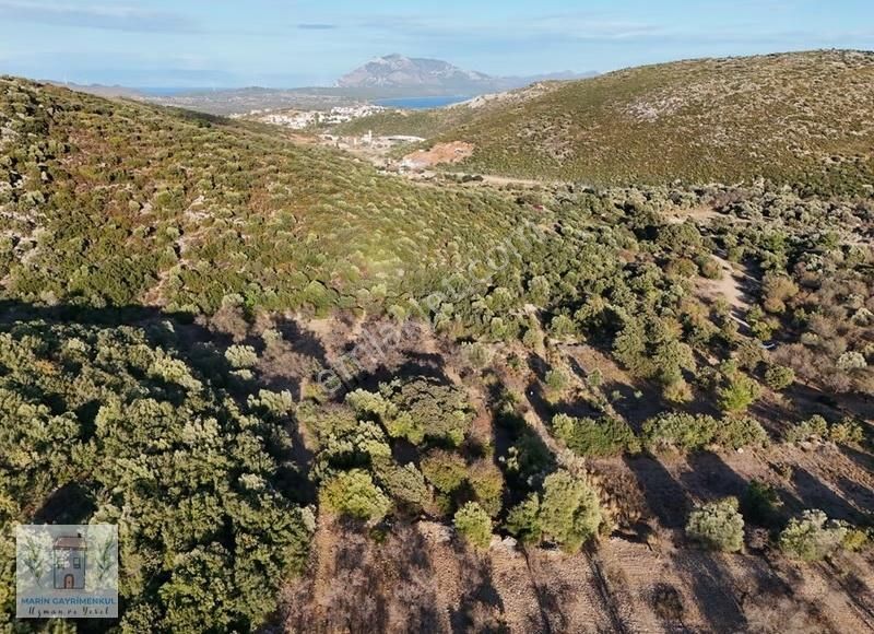 Datça Merkezin Kalbinde 3.860m2 Ve 10.090m2 Araziler - Görsel 6
