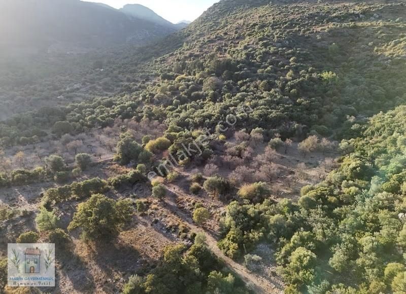 Datça Merkezin Kalbinde 3.860m2 Ve 10.090m2 Araziler - Görsel 5
