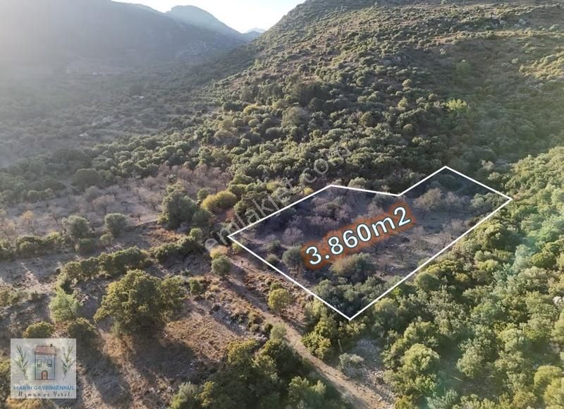 Datça Merkezin Kalbinde 3.860m2 Ve 10.090m2 Araziler - Görsel 4