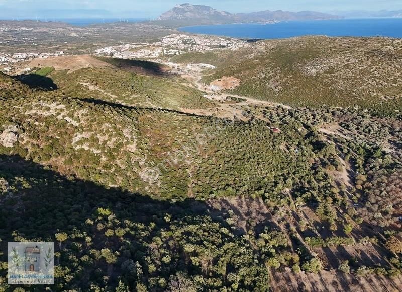 Datça Merkezin Kalbinde 3.860m2 Ve 10.090m2 Araziler - Görsel 2