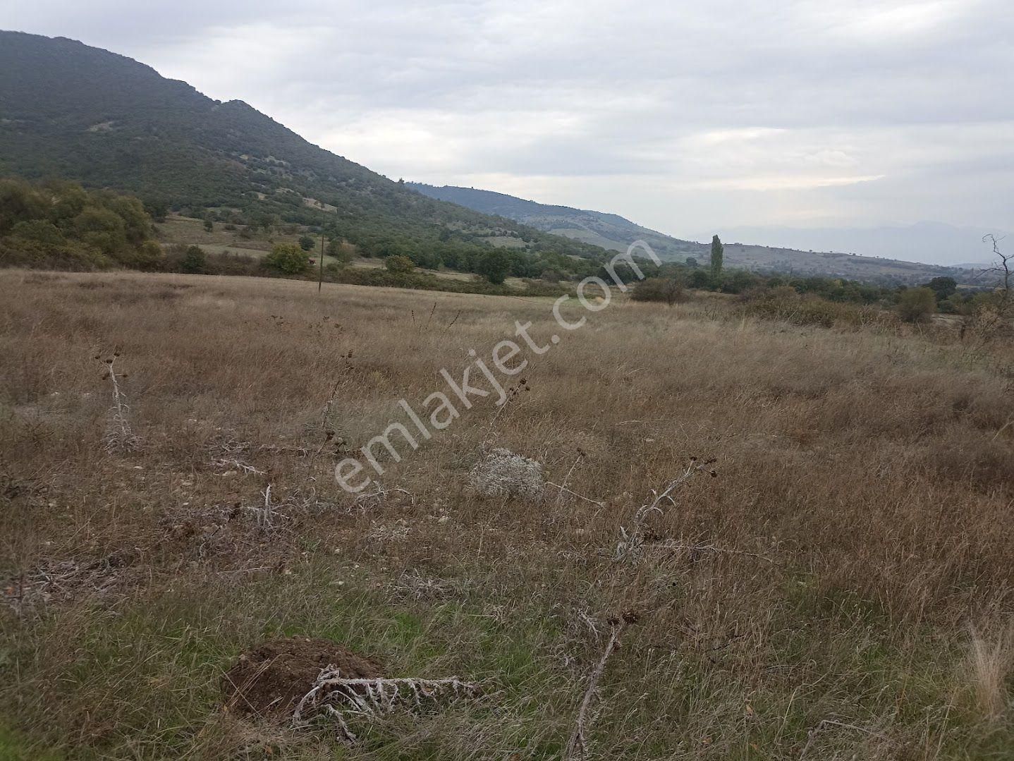 Balıkesir Bigadiç Doğancam Mahallesi'nde Satilik Hobi Bahcelik Arazi - Görsel 6