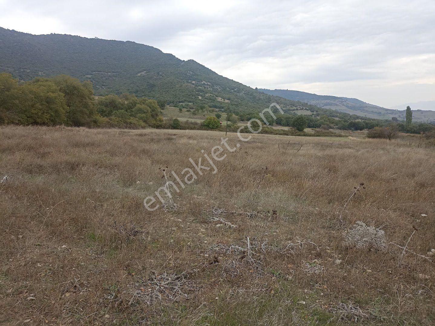 Balıkesir Bigadiç Doğancam Mahallesi'nde Satilik Hobi Bahcelik Arazi - Görsel 8