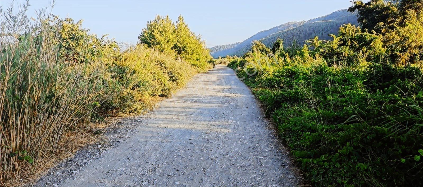 Köyceğizde Hamit Köyde Böyle Bahçeniz Olsun - Görsel 9