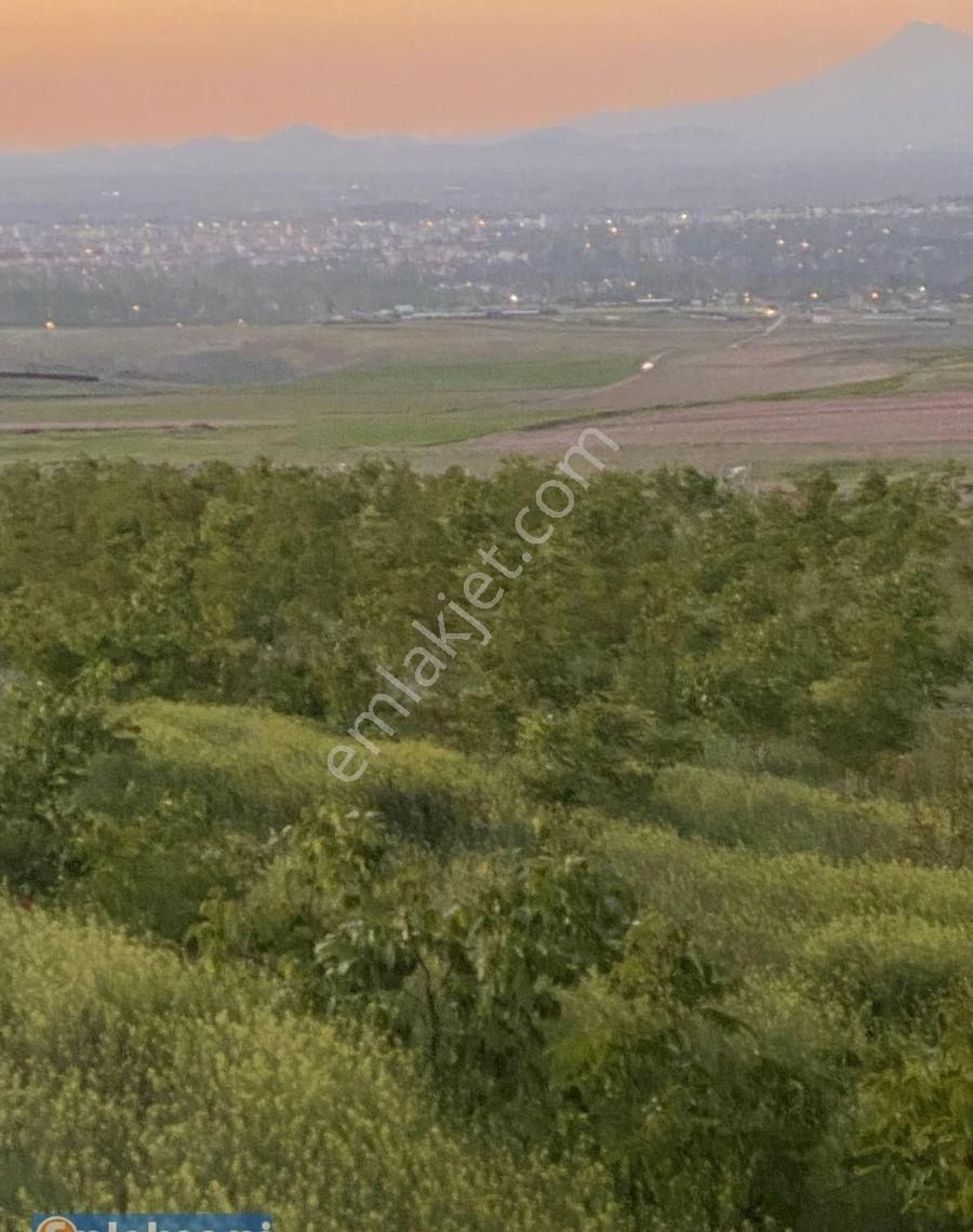 Emlaknomi'den Orhaniye Mah.'de İmarlı Alana Çok Yakın Konumda Yatırım Potansiyelli Lüks Ceviz Bahçes - Görsel 9