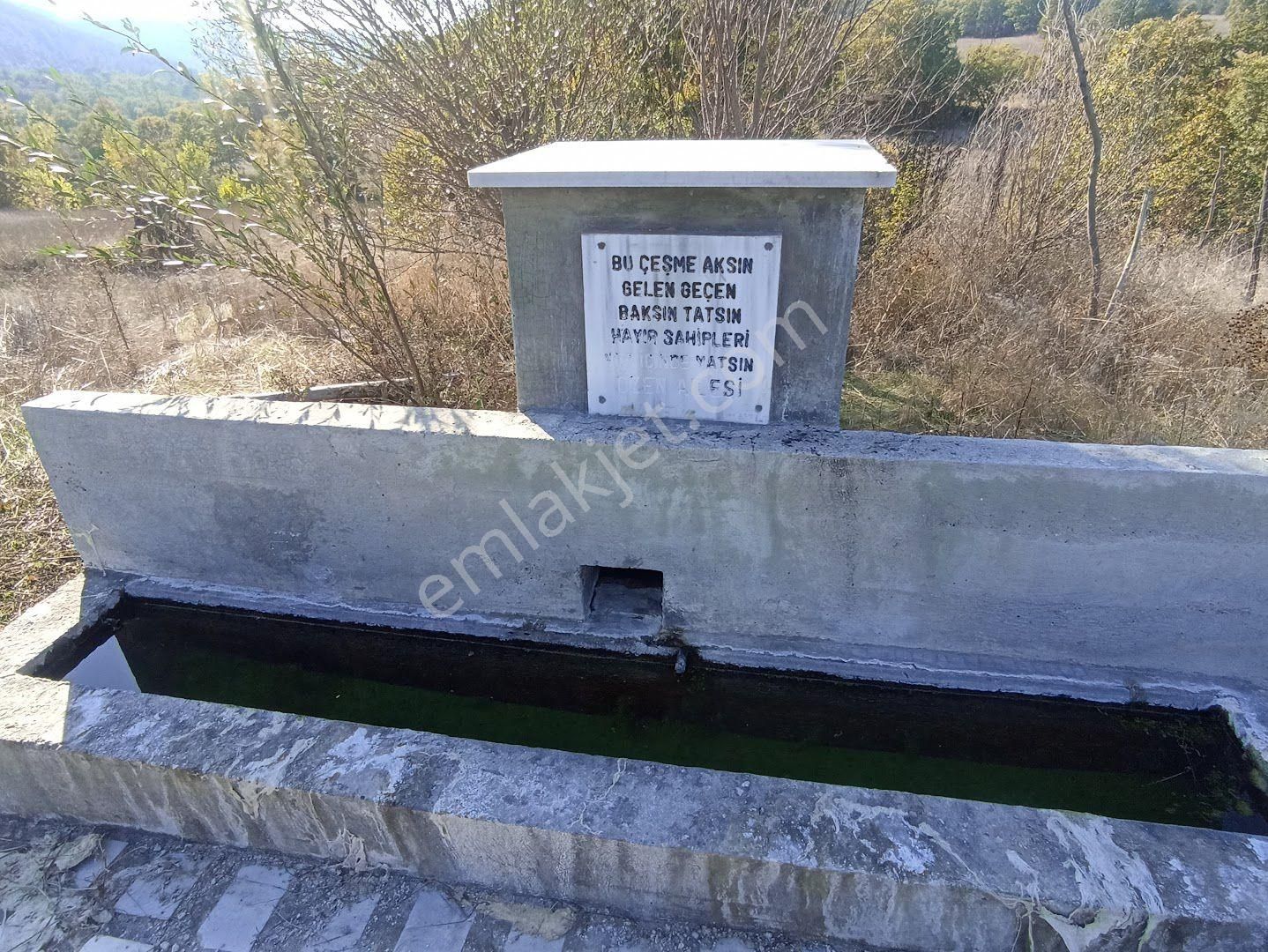Balıkesir Dursunbey Sakiz Mahallesinde Kupon Hobi Bahçesi - Görsel 9