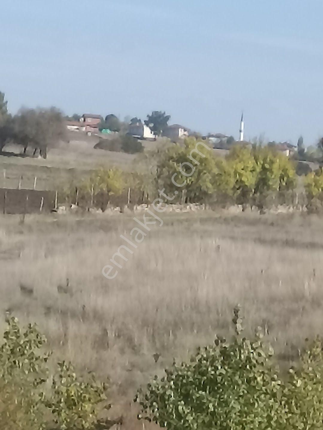 Balıkesir Dursunbey Sakiz Mahallesinde Kupon Hobi Bahçesi - Görsel 10