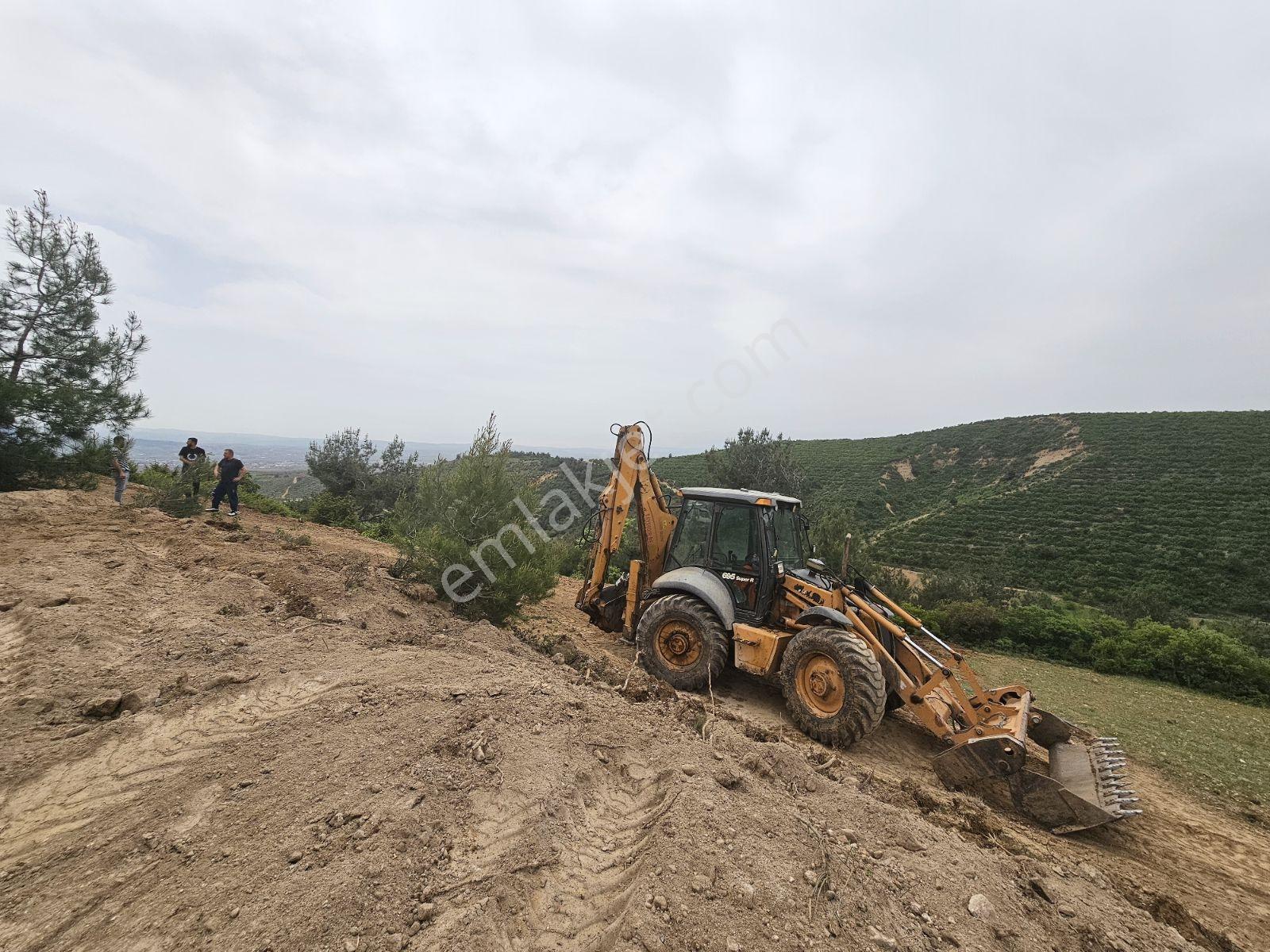 Kayalardan Yenişehirde Araç Takaslı Hobi Bahçesi - Görsel 3