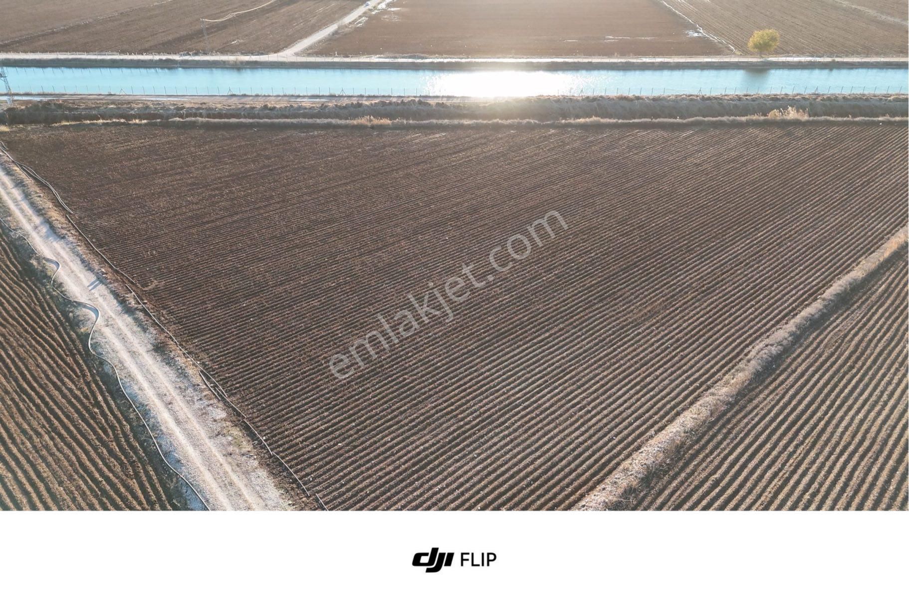 Acilsatılık Tarla - Görsel 6