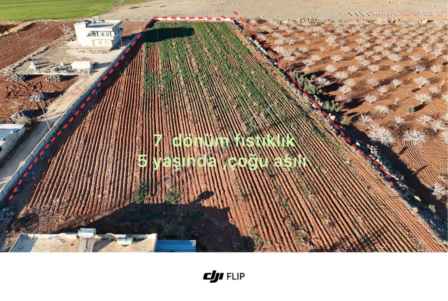 Acilsatılık Tarla - Görsel 2