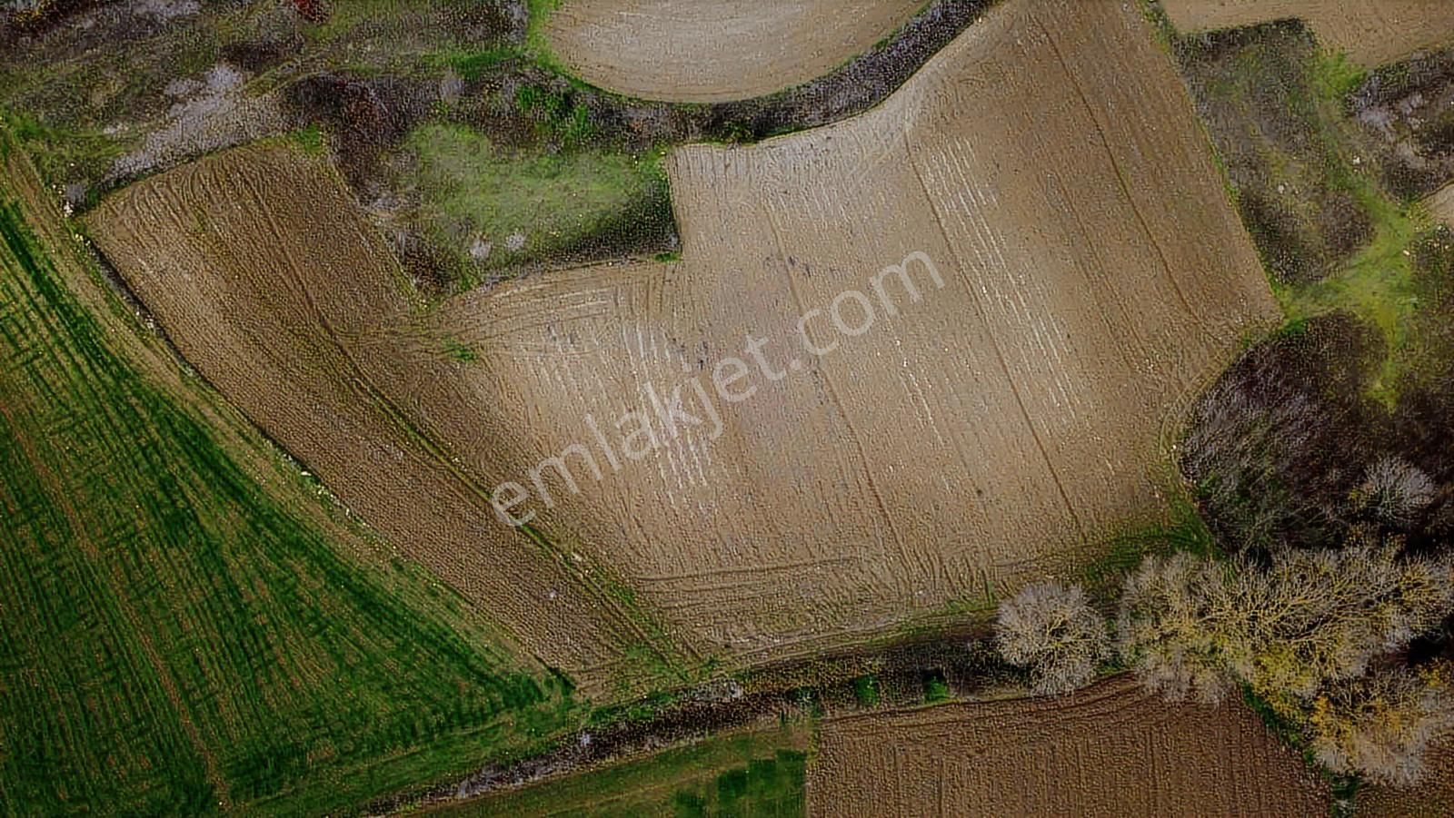 Yoldaş Emlaktan Sakarya Kertil Köyünden 5.740 M2 Tarla - Görsel 13