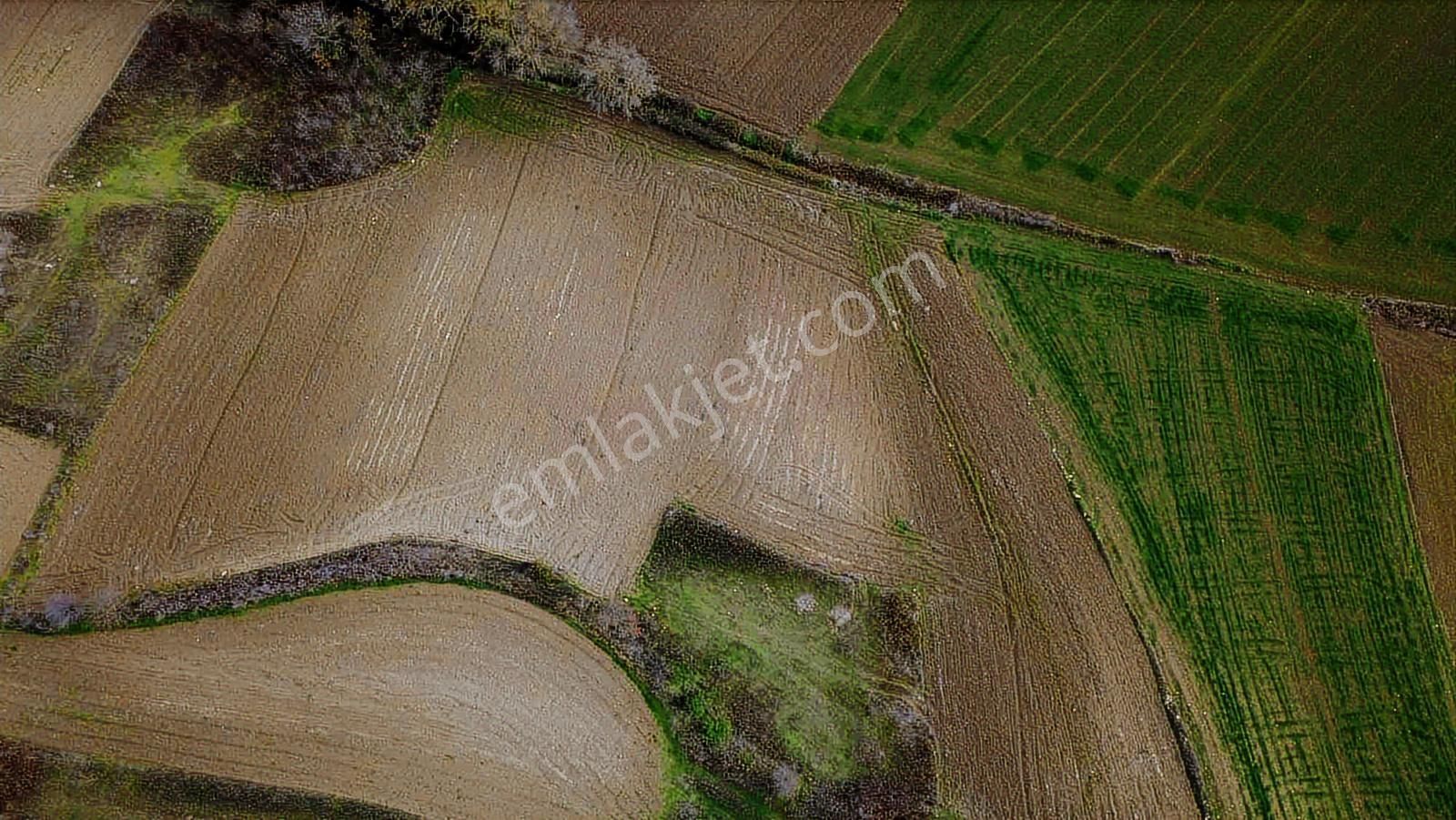 Yoldaş Emlaktan Sakarya Kertil Köyünden 5.740 M2 Tarla - Görsel 8