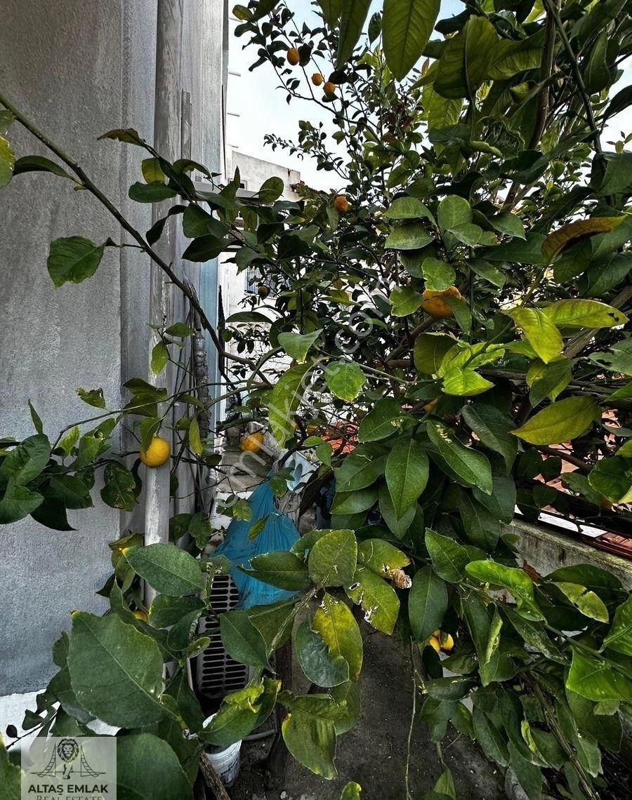 Milas Hacıilyas Mahallesinde Satılık Geniş 2+1 Satılıktır - Görsel 8