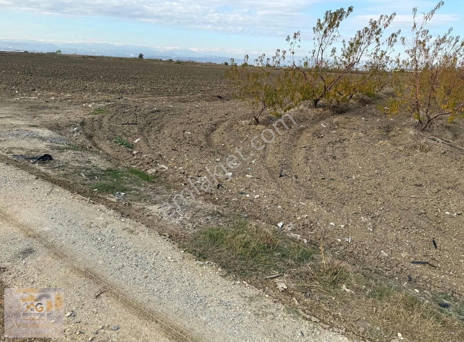 Mersin Tarsus Alifakı Mah.'de Satılık Şeftali Bahçesi - Görsel 12