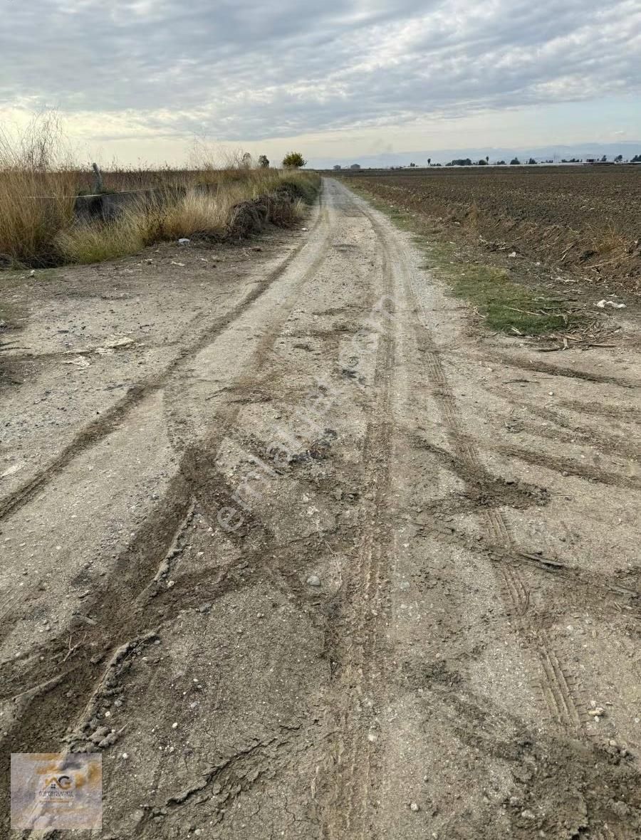 Mersin Tarsus Alifakı Mah.'de Satılık Şeftali Bahçesi - Görsel 10