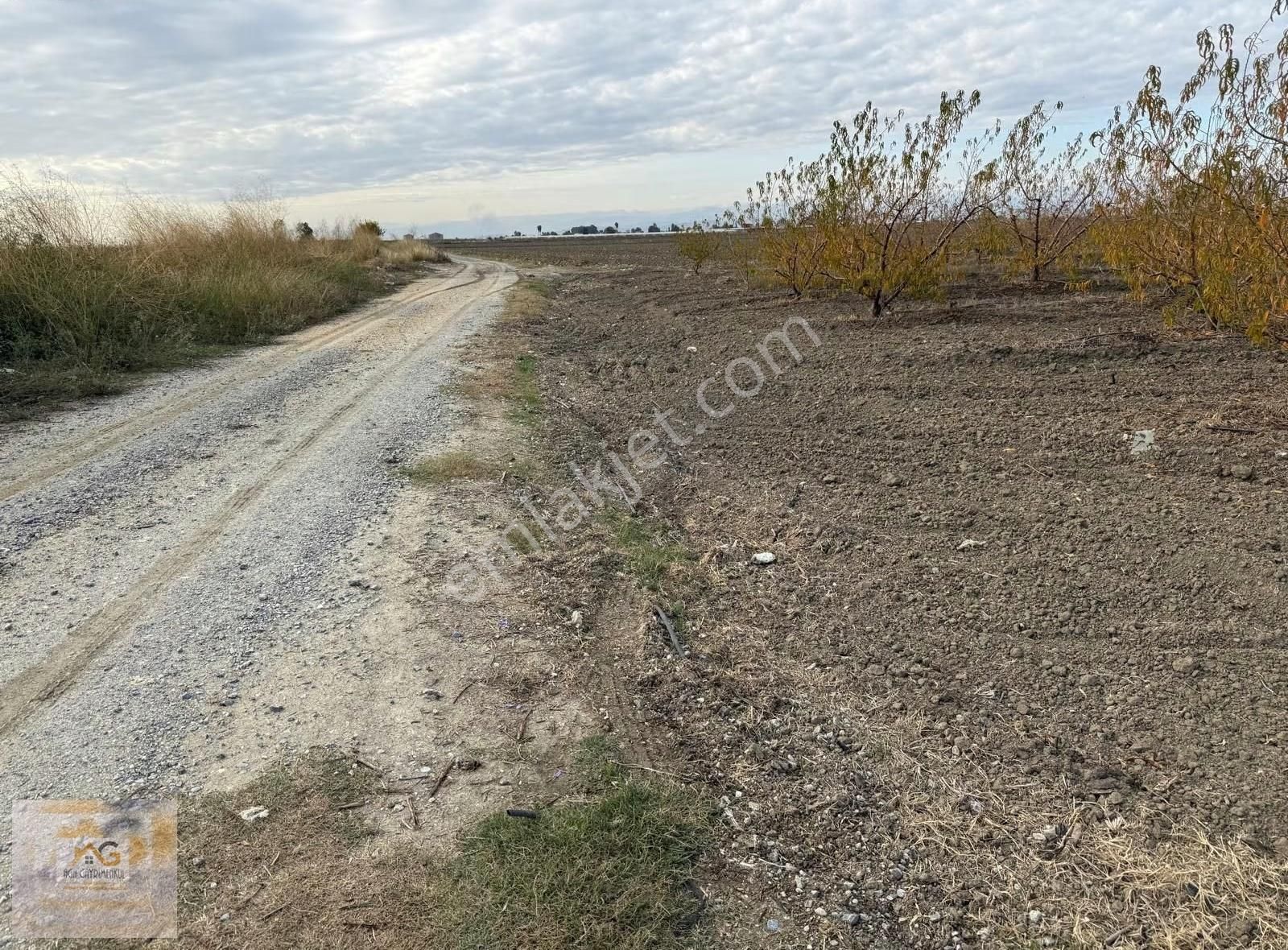 Mersin Tarsus Alifakı Mah.'de Satılık Şeftali Bahçesi - Görsel 13