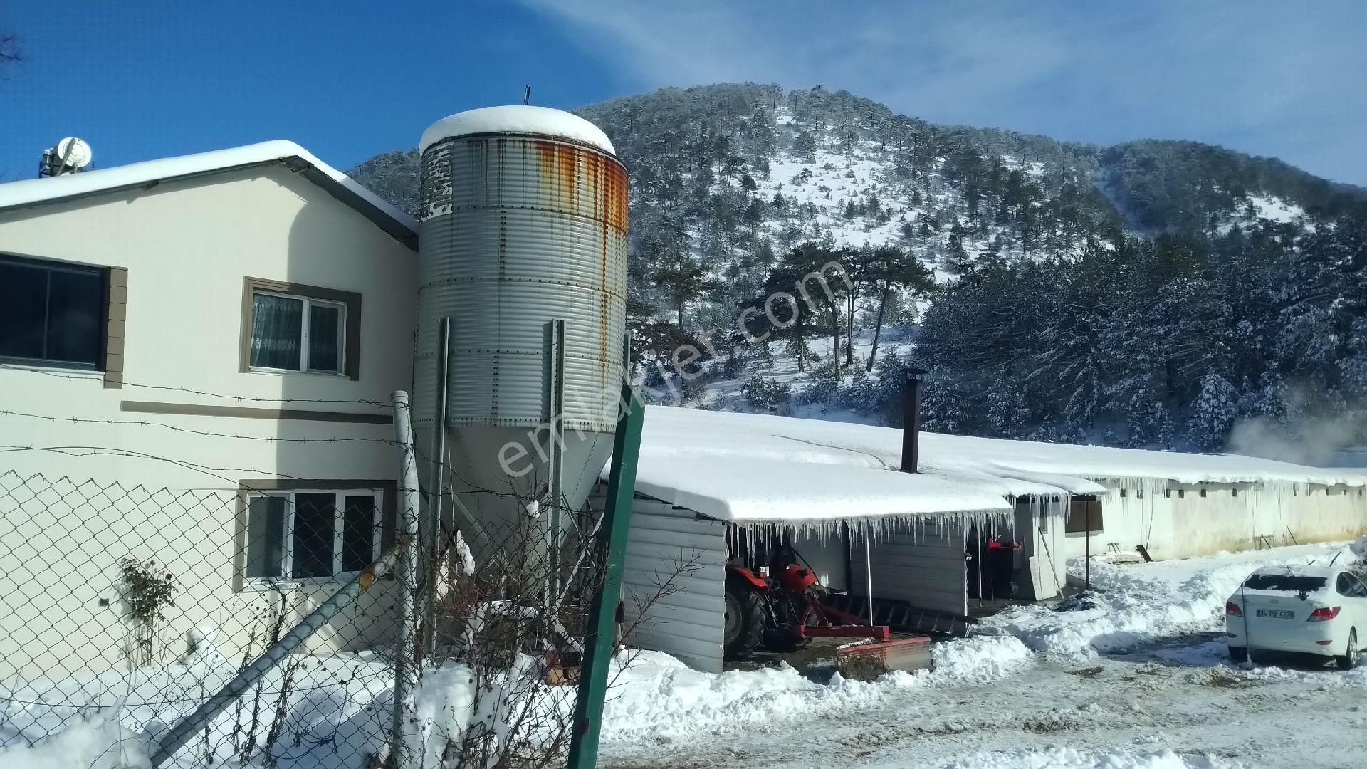 Sahibinden Çiftlik - Görsel 3