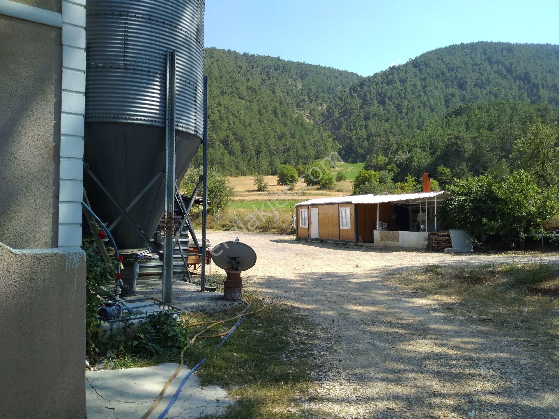 Sahibinden Çiftlik - Görsel 12