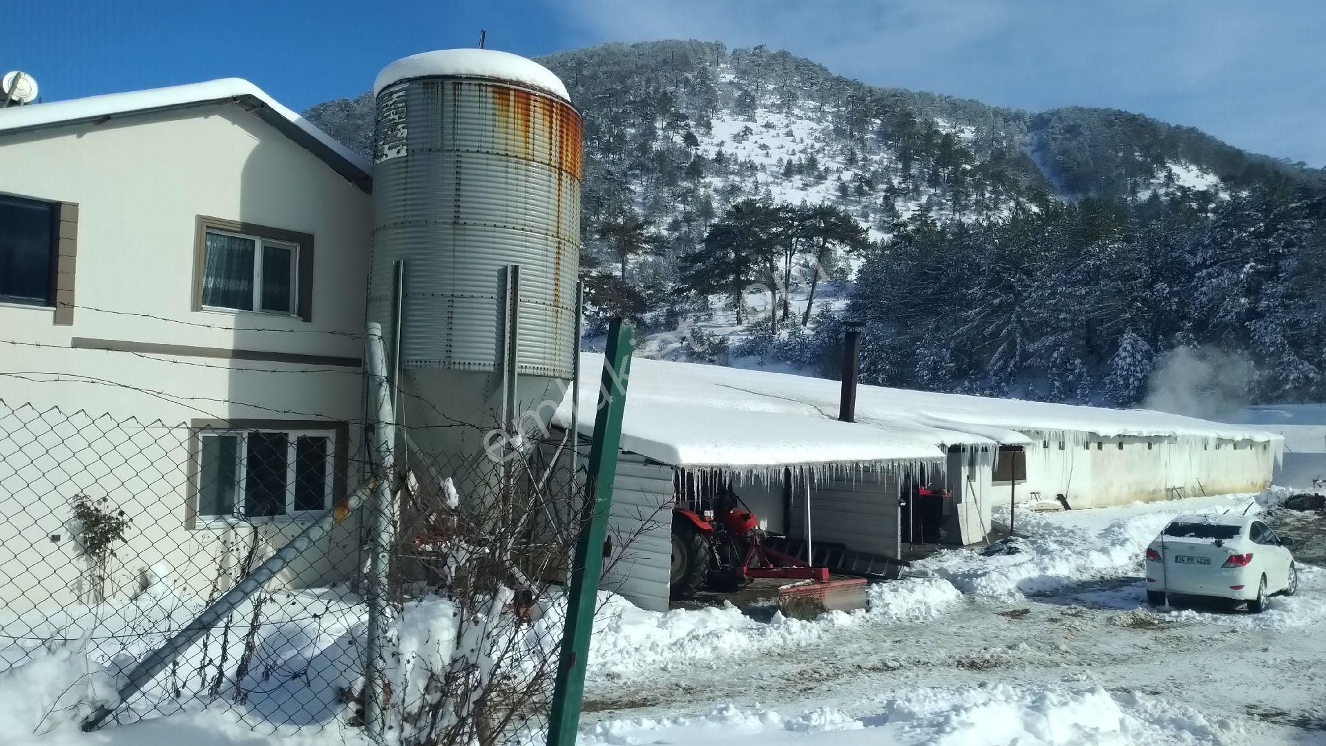 Sahibinden Çiftlik - Görsel 5