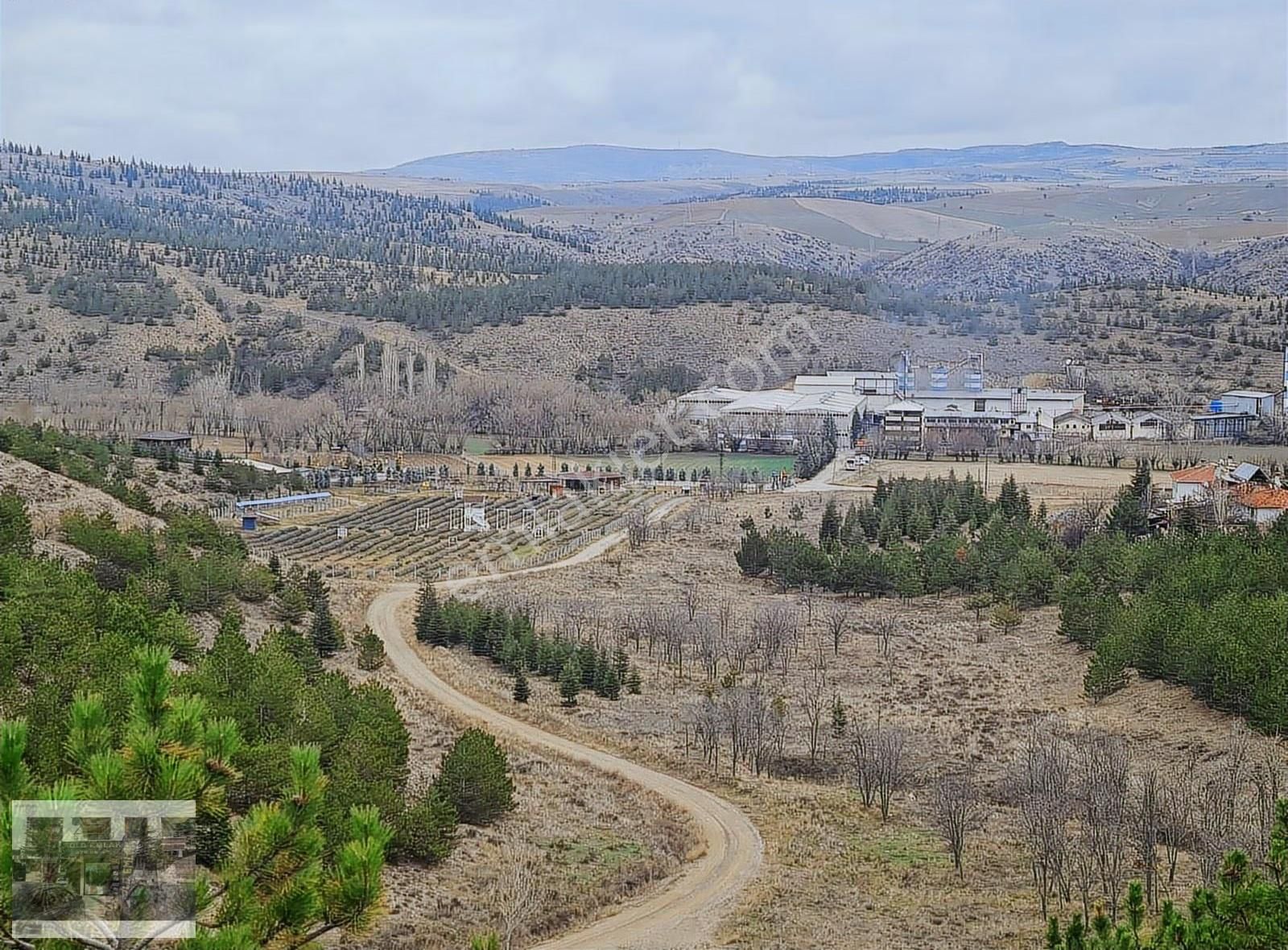 Mamak Nenekte Asfalta Cepheli İmara Sınır 266 Metre Hisse Tapulu - Görsel 12