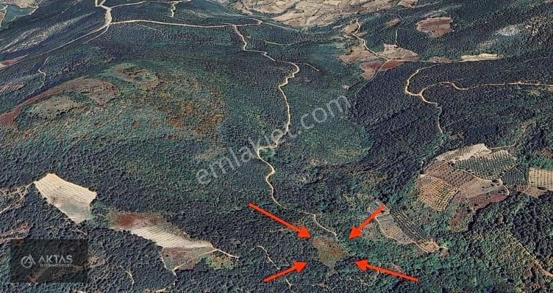 Geyve Alıplarda Yol Mevcut Yatırımlık 4182m2 Tarla Takas Var - Görsel 2