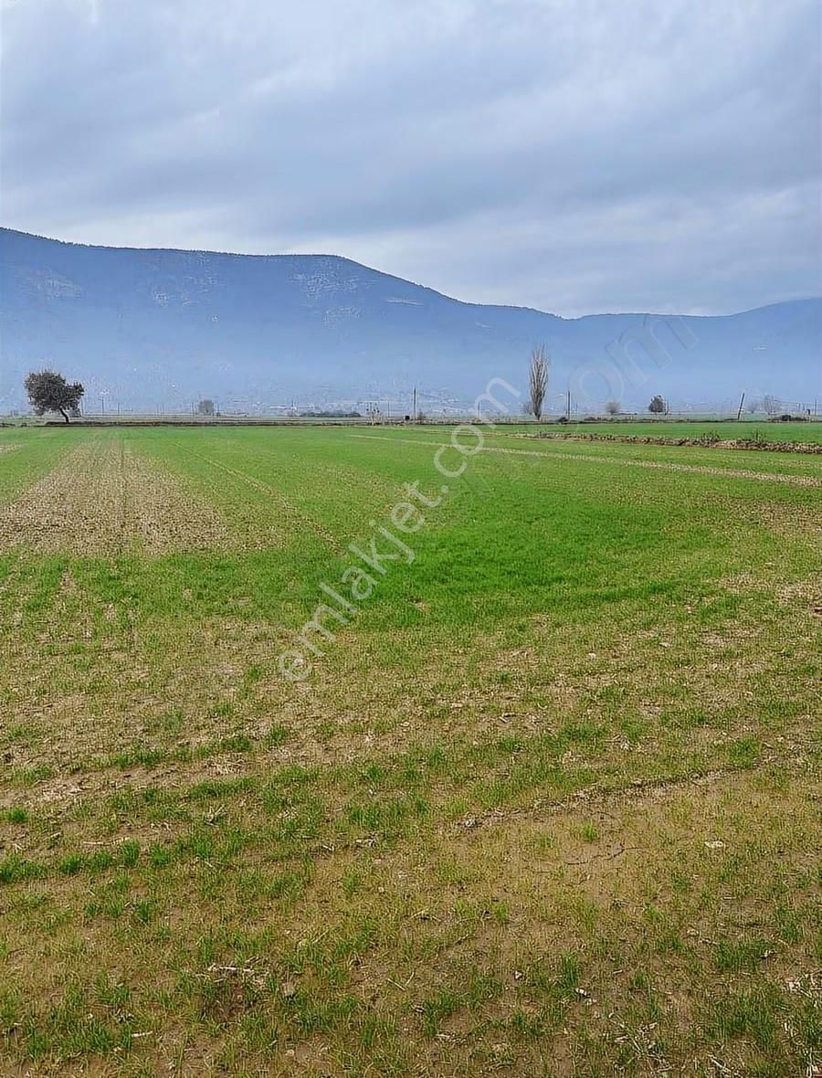 Akbaşlar'dan Kıyıkışlacığa 20 Dk Mesafede Yola Sıfır Tarla - Görsel 8