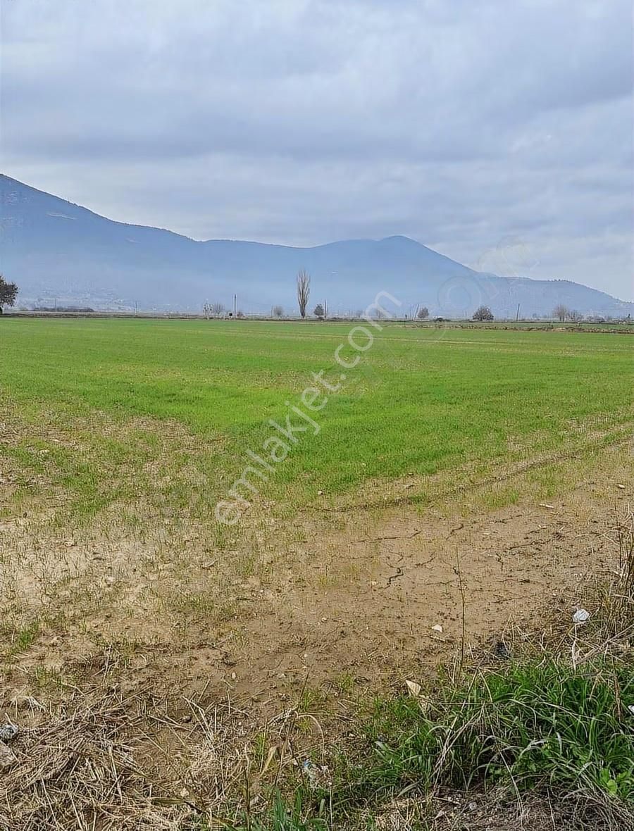 Akbaşlar'dan Kıyıkışlacığa 20 Dk Mesafede Yola Sıfır Tarla - Görsel 3
