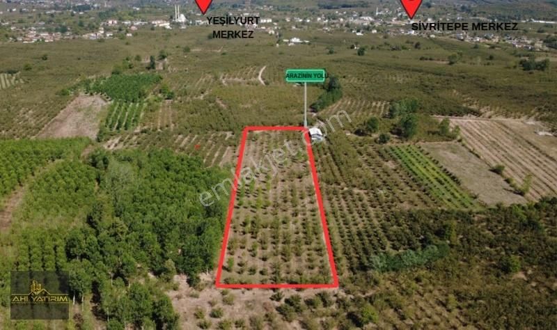 Ahi Group'tan Hendek Kurtköy Mh Satılık Fındık Bahçesi 13.772 M2 - Görsel 3