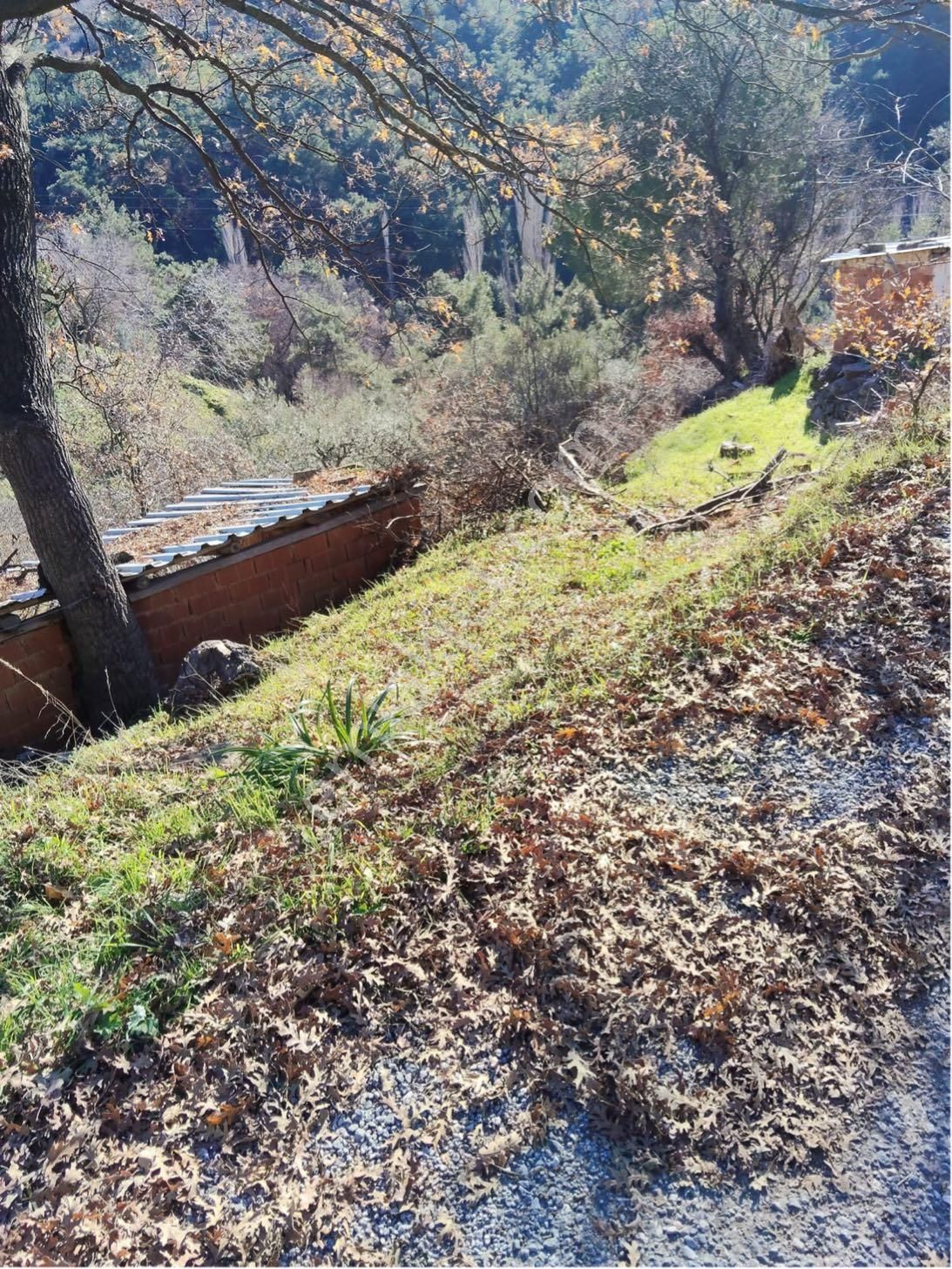 Bergama Muratlar Köyü’nde 140 M² Avlulu, Tadilatlı Kargir Köy Evi - Görsel 15