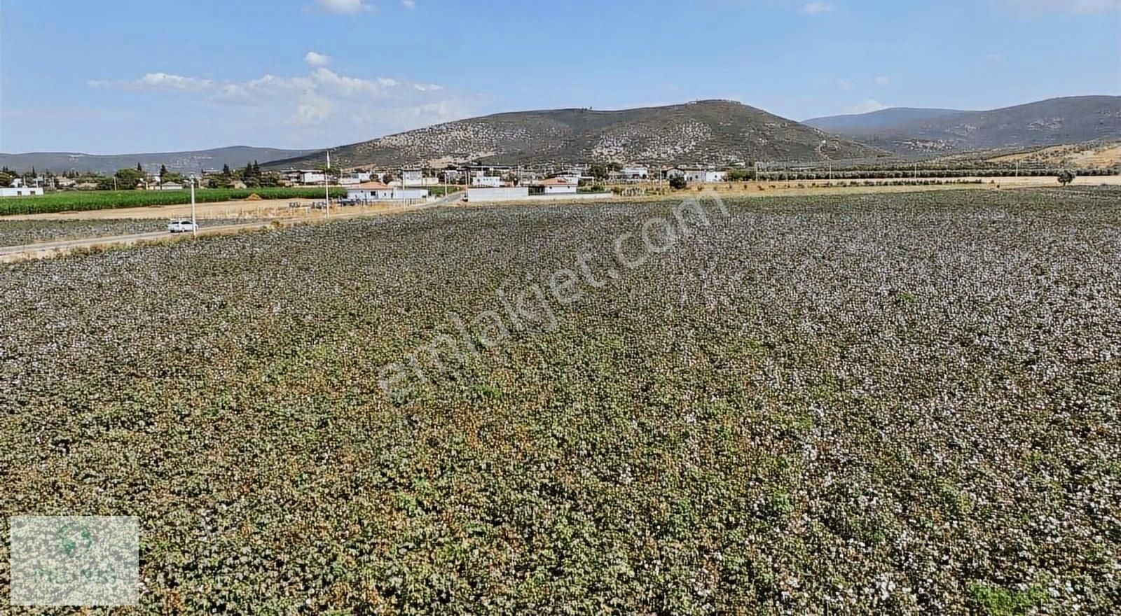 Menderes Çileme Karakuyu Caddeüstü 25,6 Dönüm Resmi Tapulu Tarla - Görsel 11