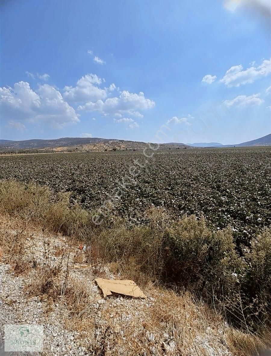 Menderes Çileme Karakuyu Caddeüstü 25,6 Dönüm Resmi Tapulu Tarla - Görsel 12
