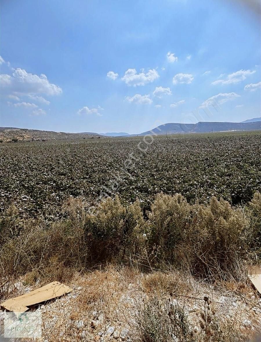 Menderes Çileme Karakuyu Caddeüstü 25,6 Dönüm Resmi Tapulu Tarla - Görsel 10