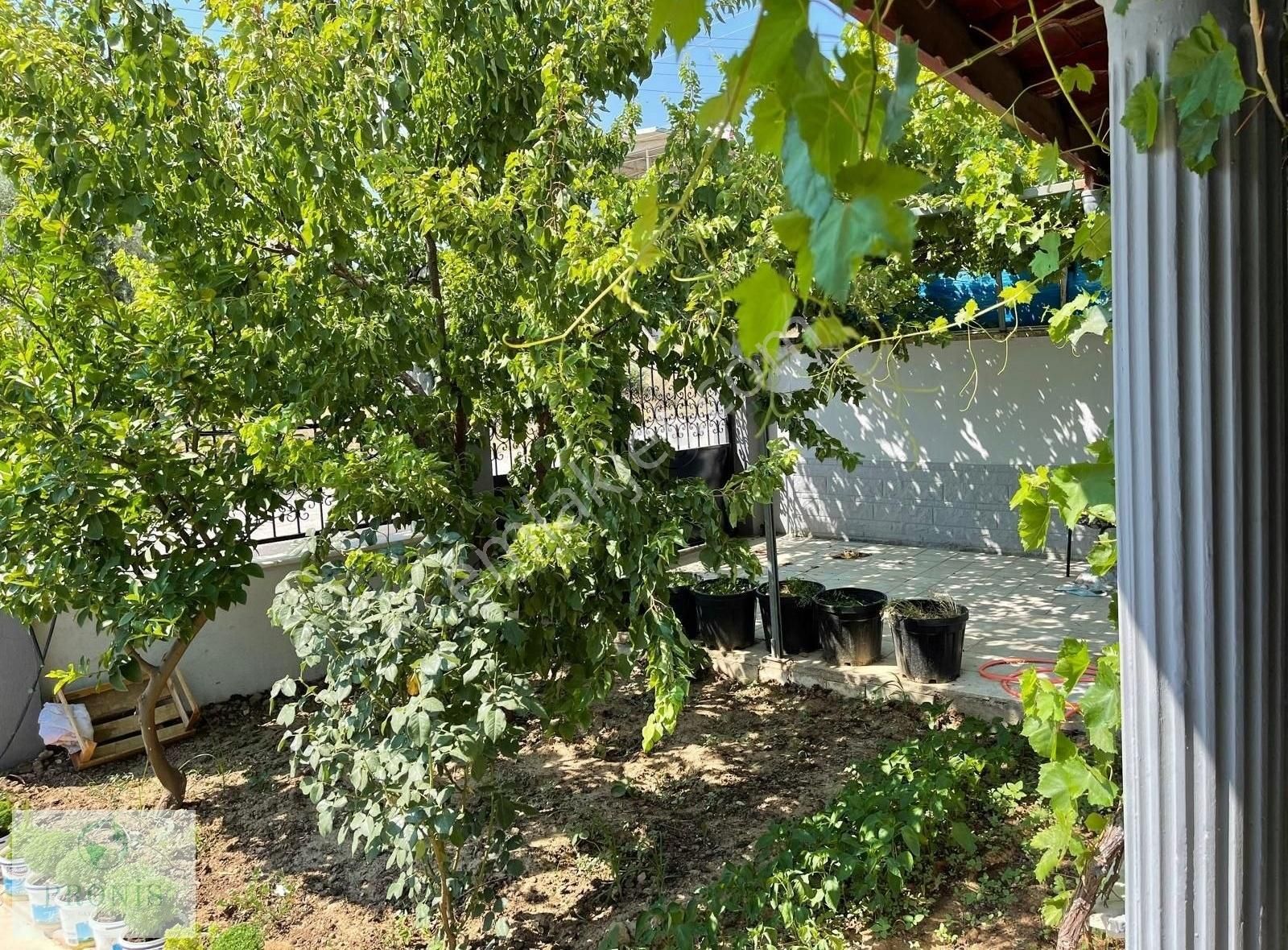 Müstakil Hayatın Tadına Triplexte Varın - Görsel 16