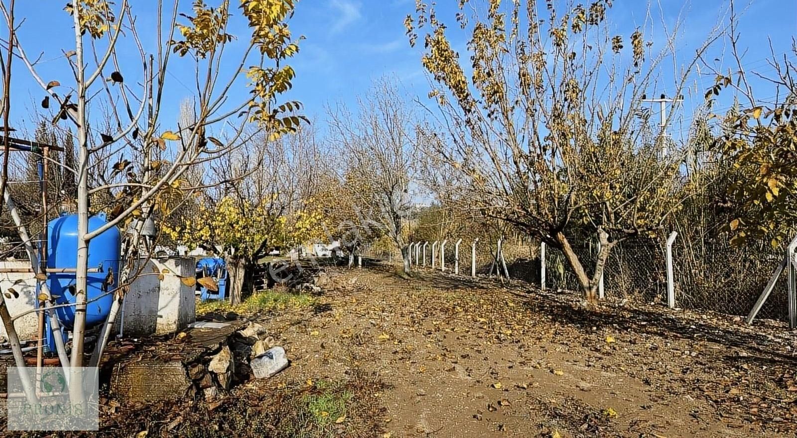 Dereköy'de 5 Dönümde Kurulu Ev Ve Bahçe - Görsel 29