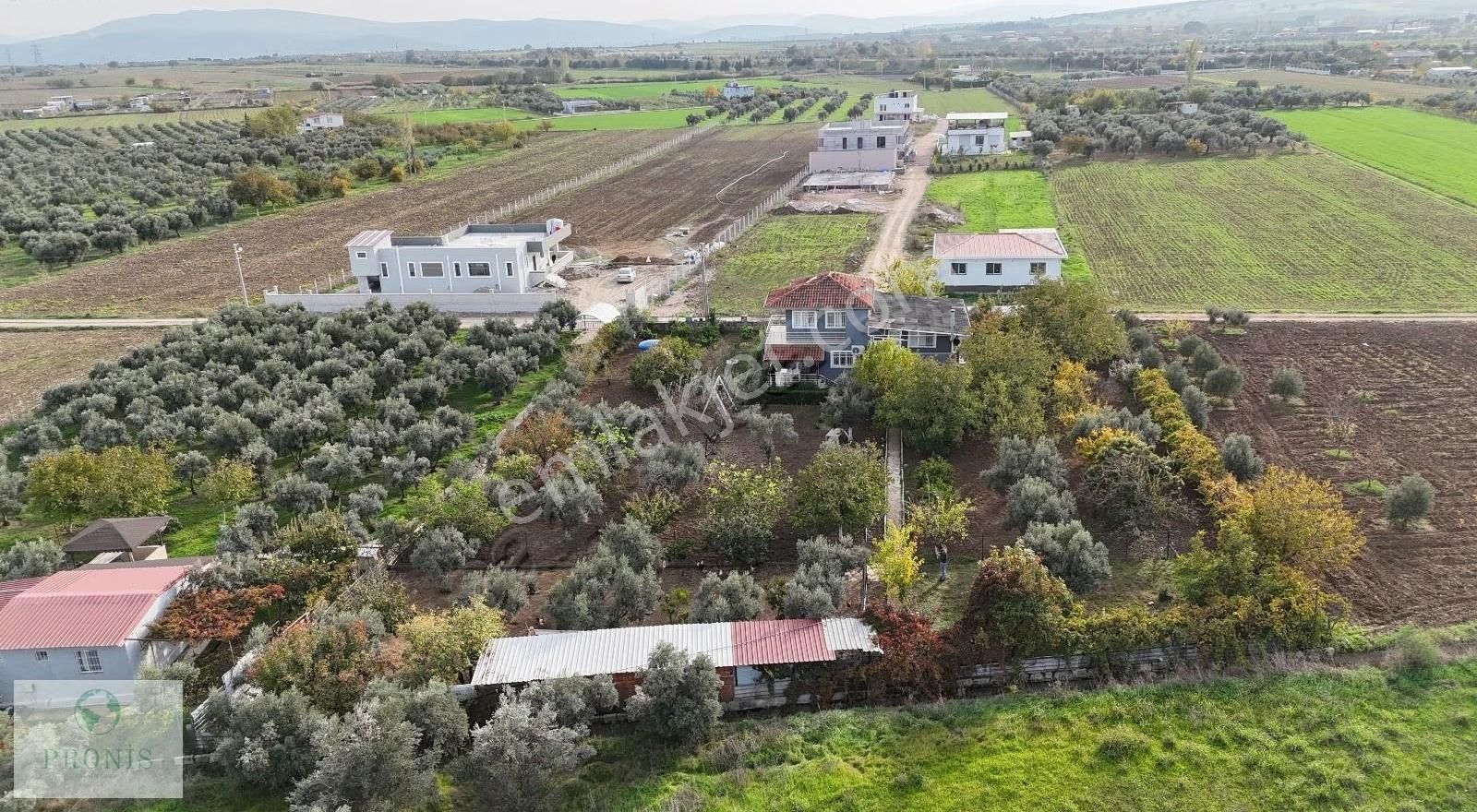 İzmir Menderes Oğlananasında, Doğanın Kalbinde Eşsiz Bir Yaşam - Görsel 25