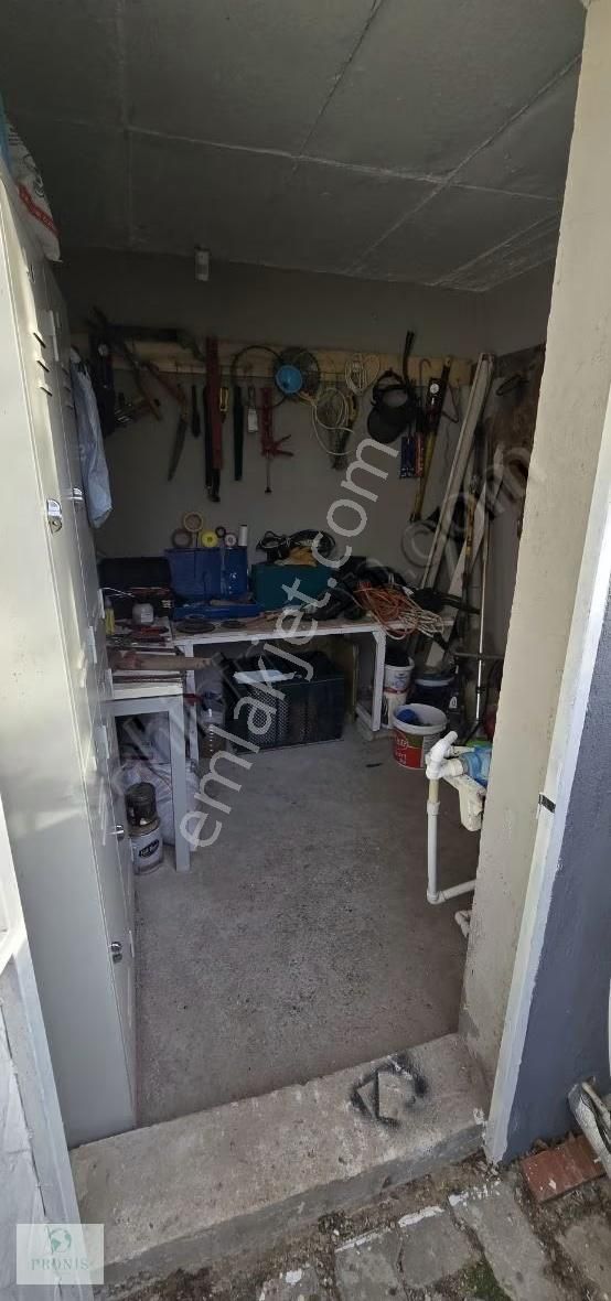 İzmir Menderes Oğlananasında, Doğanın Kalbinde Eşsiz Bir Yaşam - Görsel 17