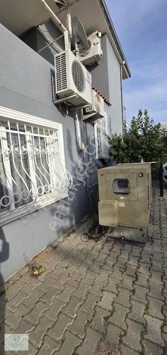 İzmir Menderes Oğlananasında, Doğanın Kalbinde Eşsiz Bir Yaşam - Görsel 12