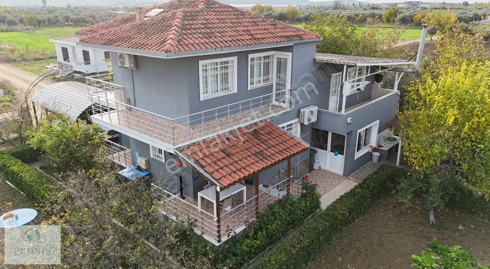 İzmir Menderes Oğlananasında, Doğanın Kalbinde Eşsiz Bir Yaşam - Görsel 2