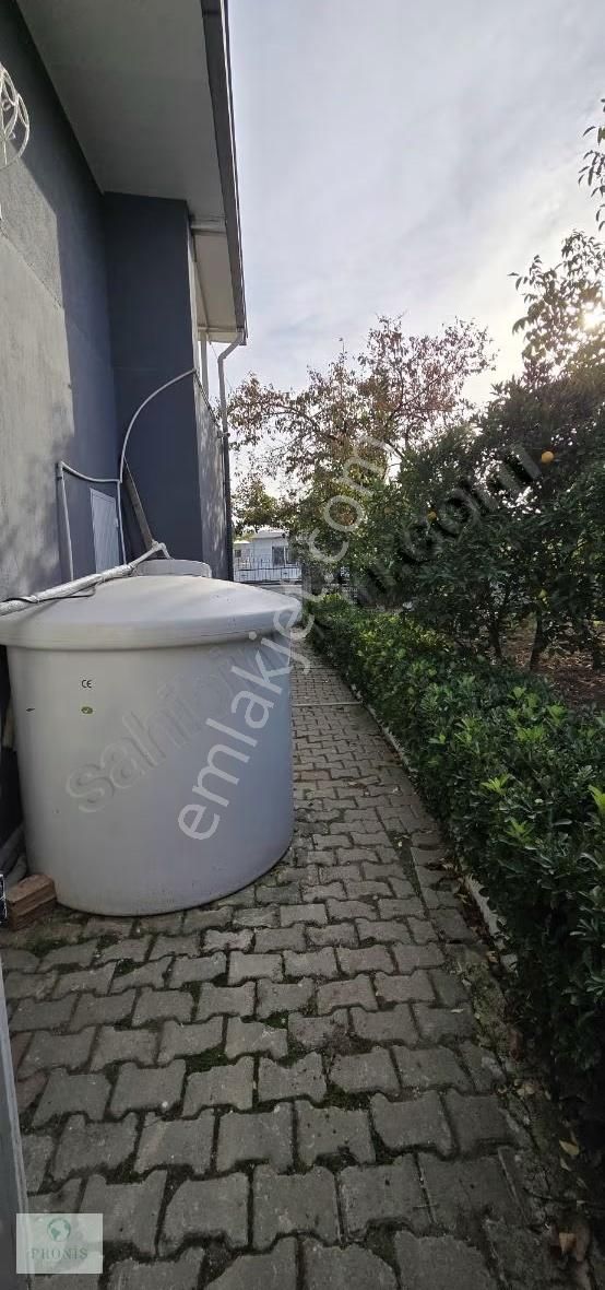 İzmir Menderes Oğlananasında, Doğanın Kalbinde Eşsiz Bir Yaşam - Görsel 22