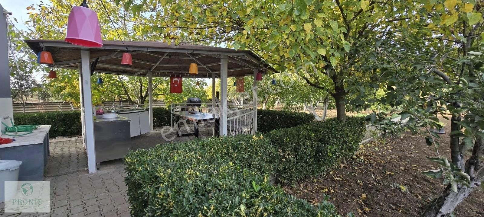 İzmir Menderes Oğlananasında, Doğanın Kalbinde Eşsiz Bir Yaşam - Görsel 14