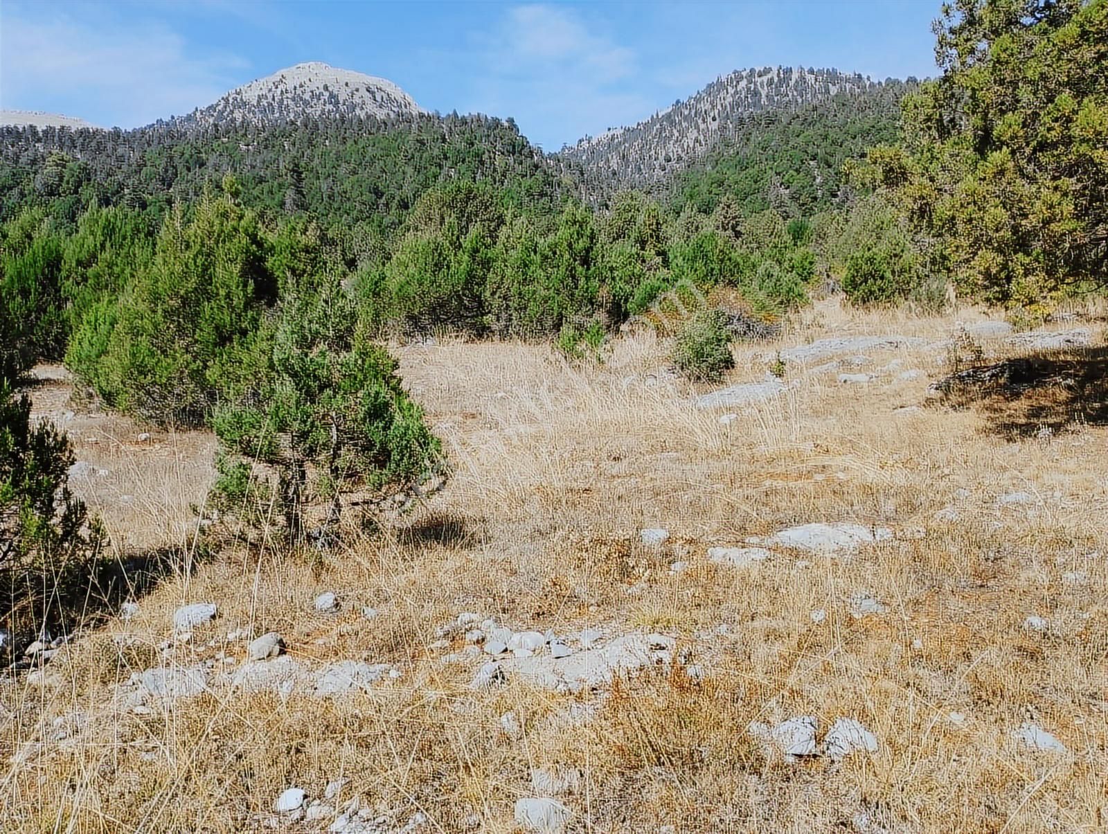 New Form'dan Toroslar Sadiye Mahallesi'nde Satılık 18300 M2tarla - Görsel 5