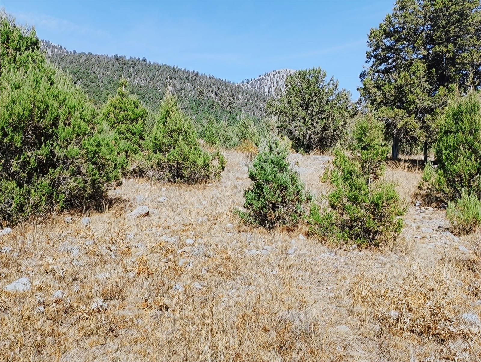 New Form'dan Toroslar Sadiye Mahallesi'nde Satılık 18300 M2tarla - Görsel 4