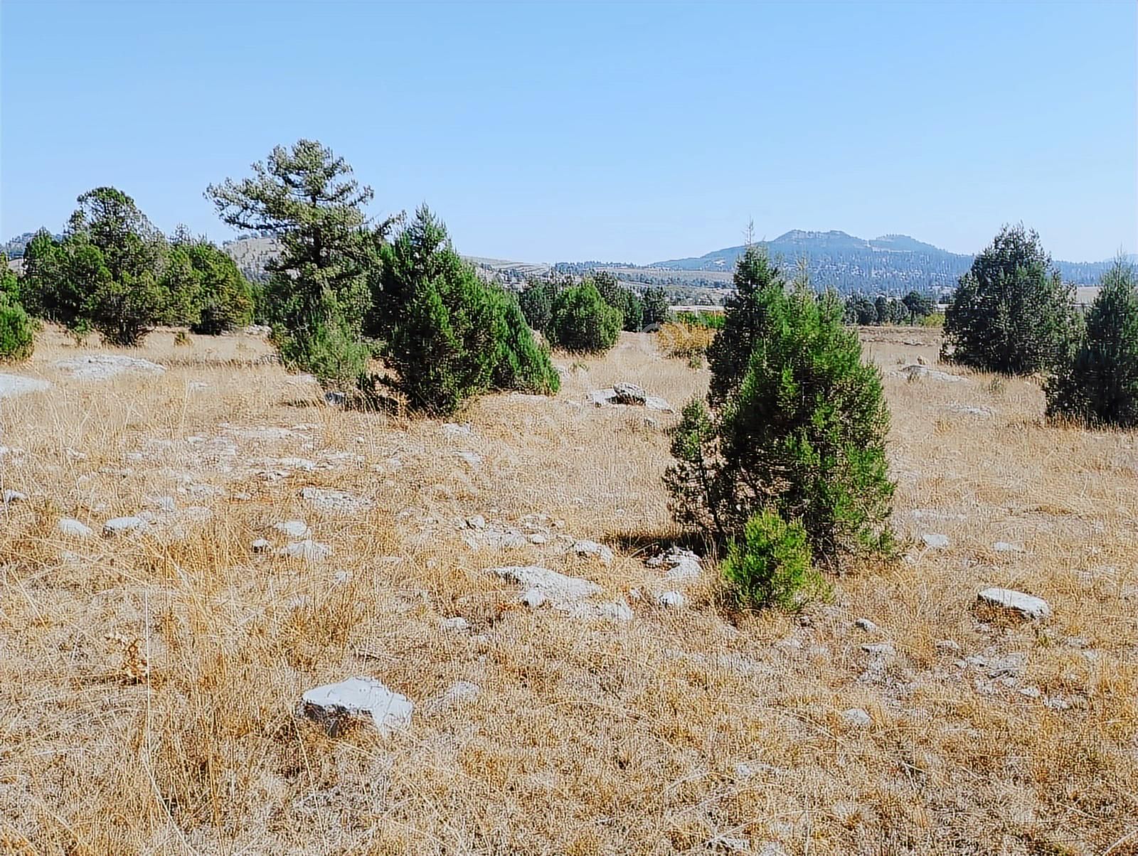 New Form'dan Toroslar Sadiye Mahallesi'nde Satılık 18300 M2tarla - Görsel 7