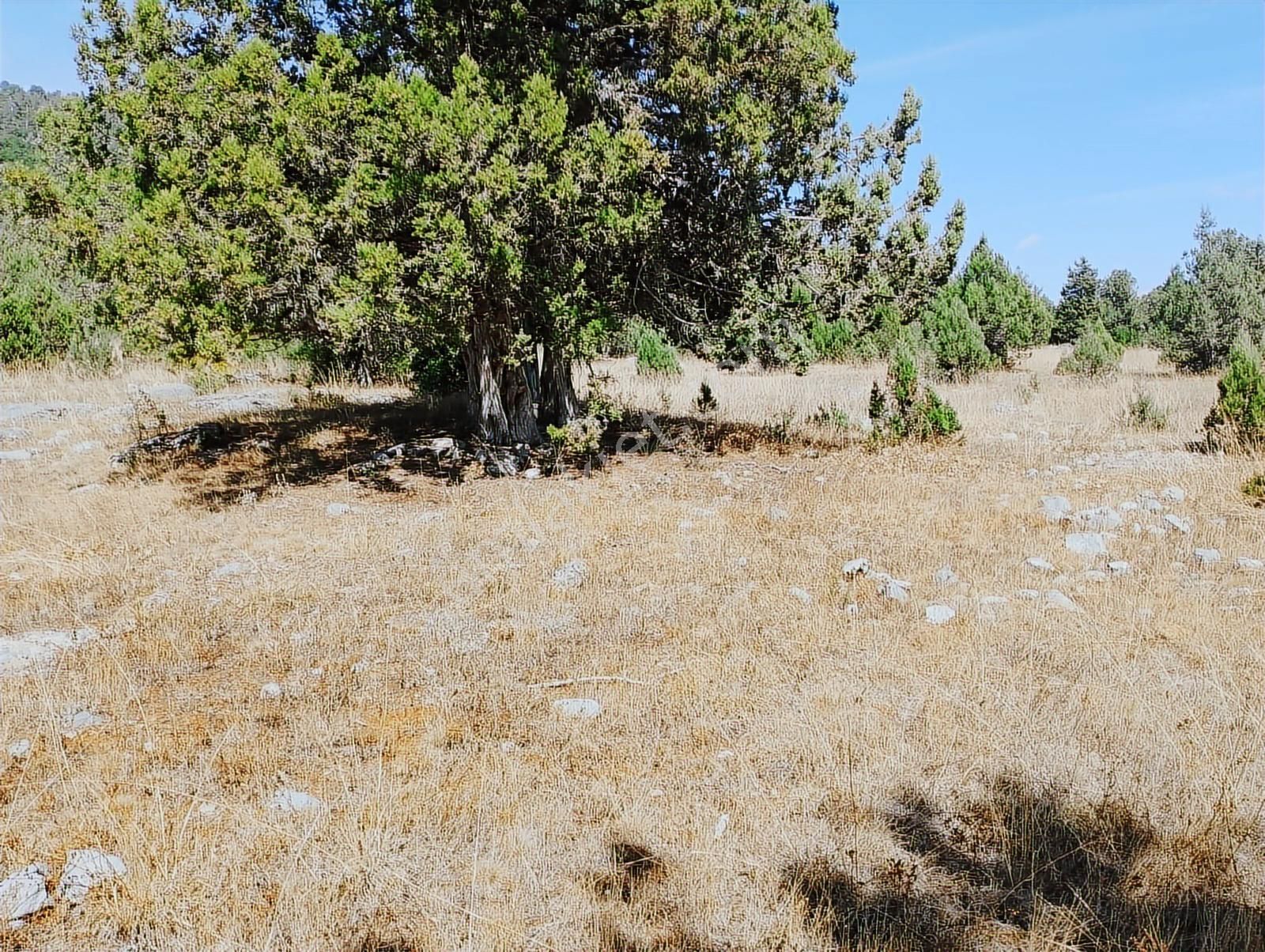 New Form'dan Toroslar Sadiye Mahallesi'nde Satılık 18300 M2tarla - Görsel 13