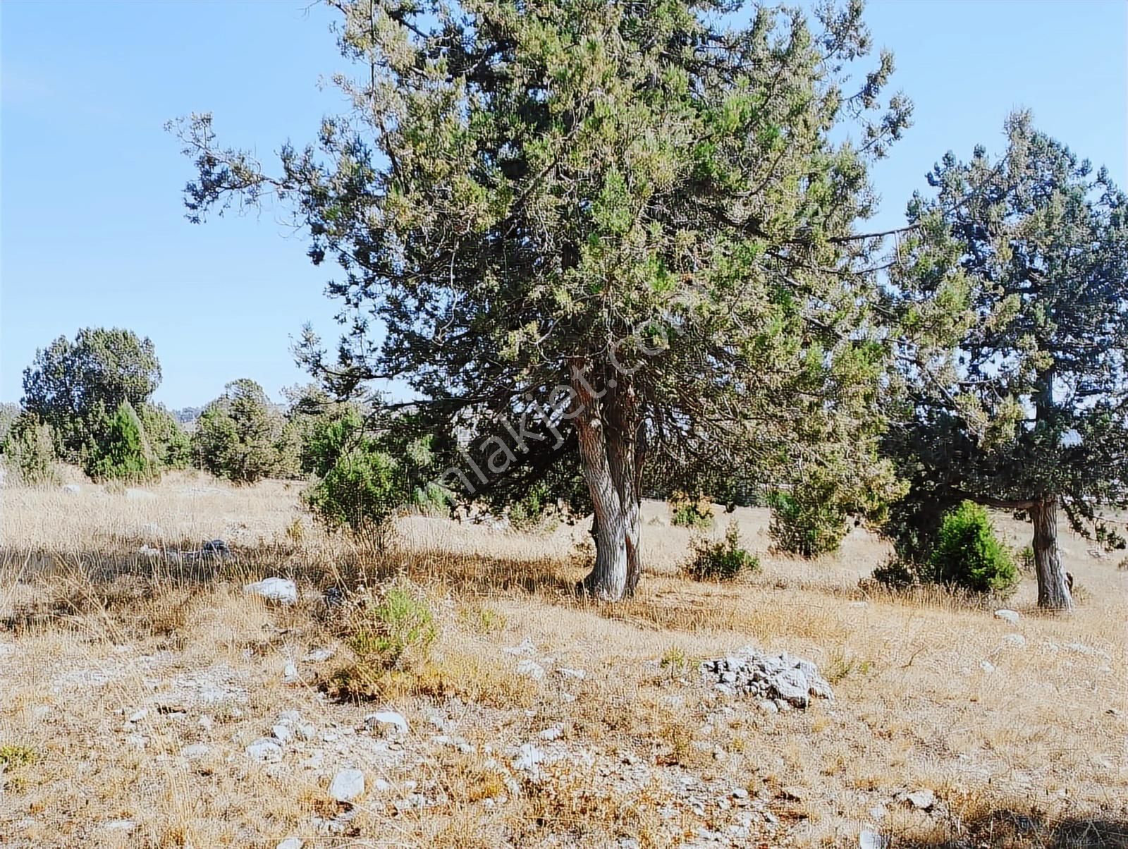 New Form'dan Toroslar Sadiye Mahallesi'nde Satılık 18300 M2tarla - Görsel 9