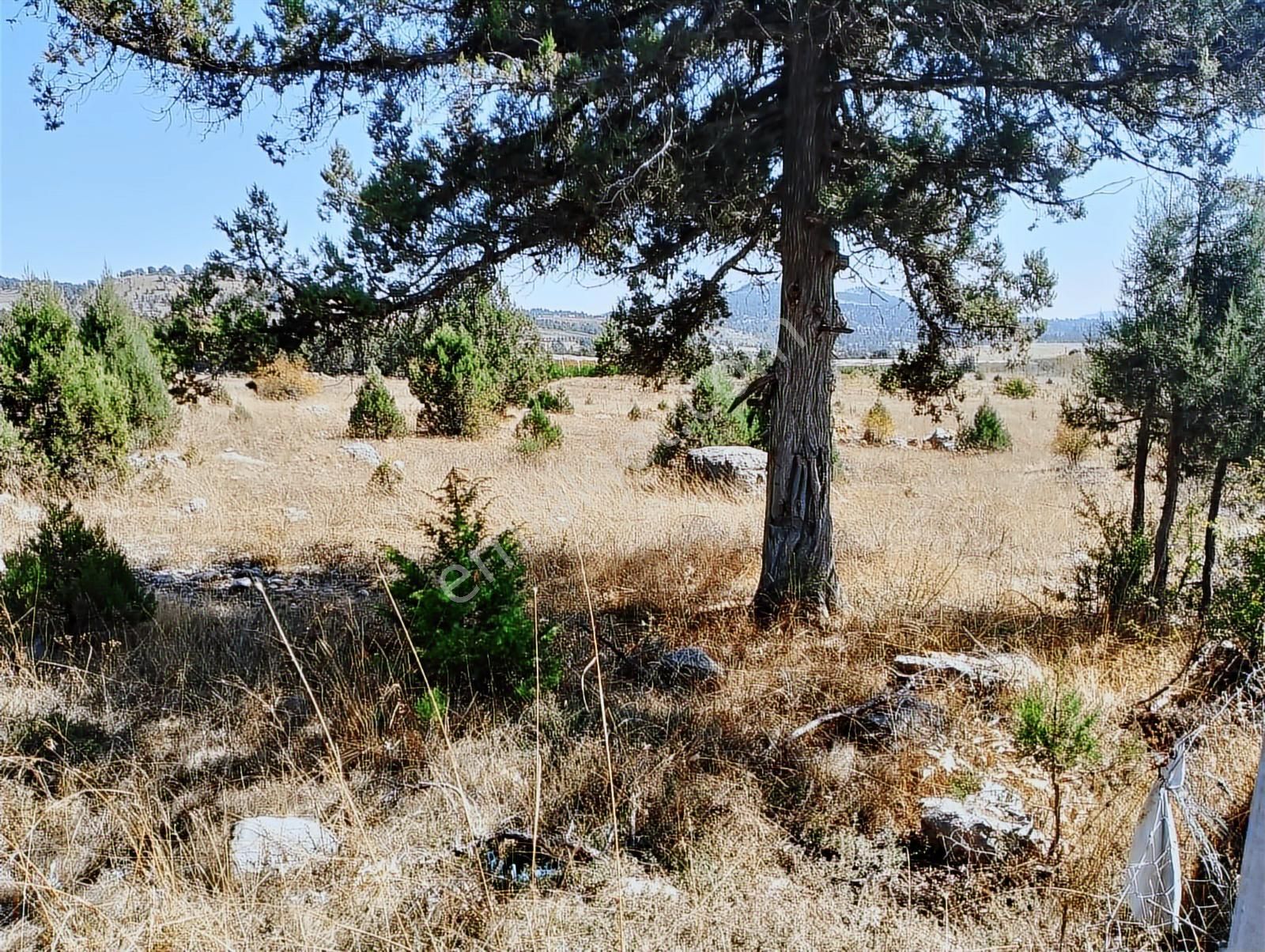 New Form'dan Toroslar Sadiye Mahallesi'nde Satılık 18300 M2tarla - Görsel 8