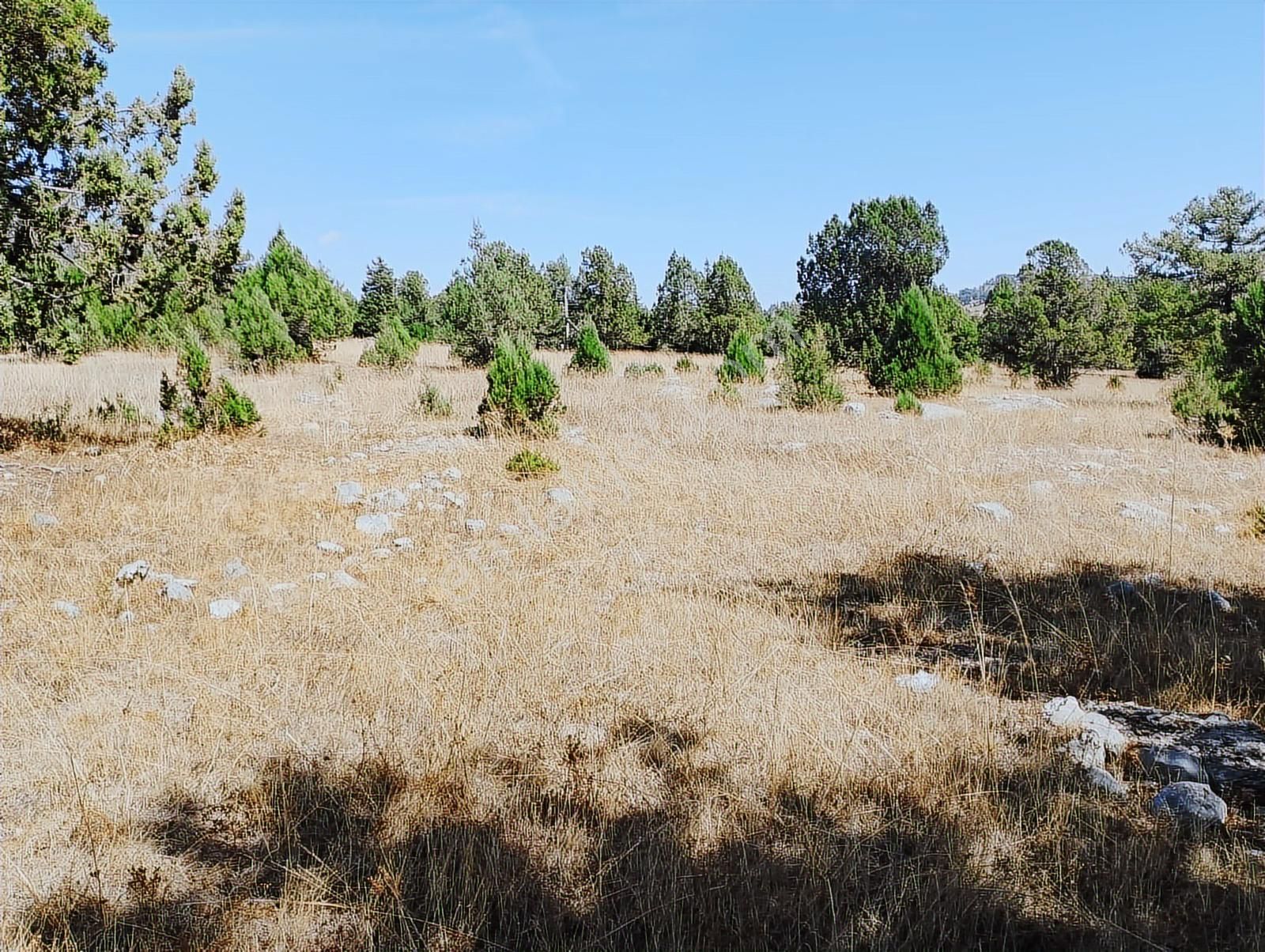 New Form'dan Toroslar Sadiye Mahallesi'nde Satılık 18300 M2tarla - Görsel 2
