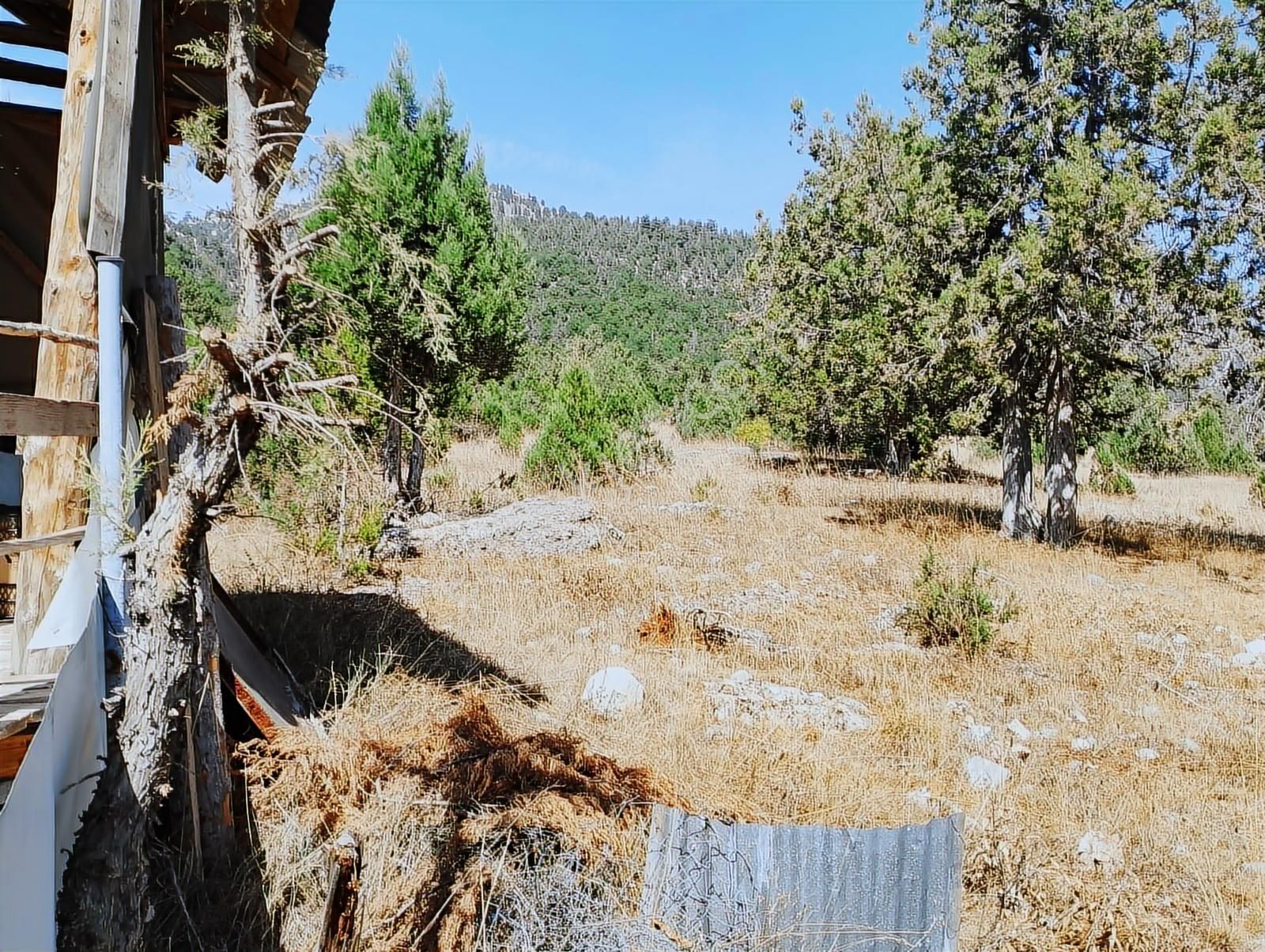 New Form'dan Toroslar Sadiye Mahallesi'nde Satılık 18300 M2tarla - Görsel 14