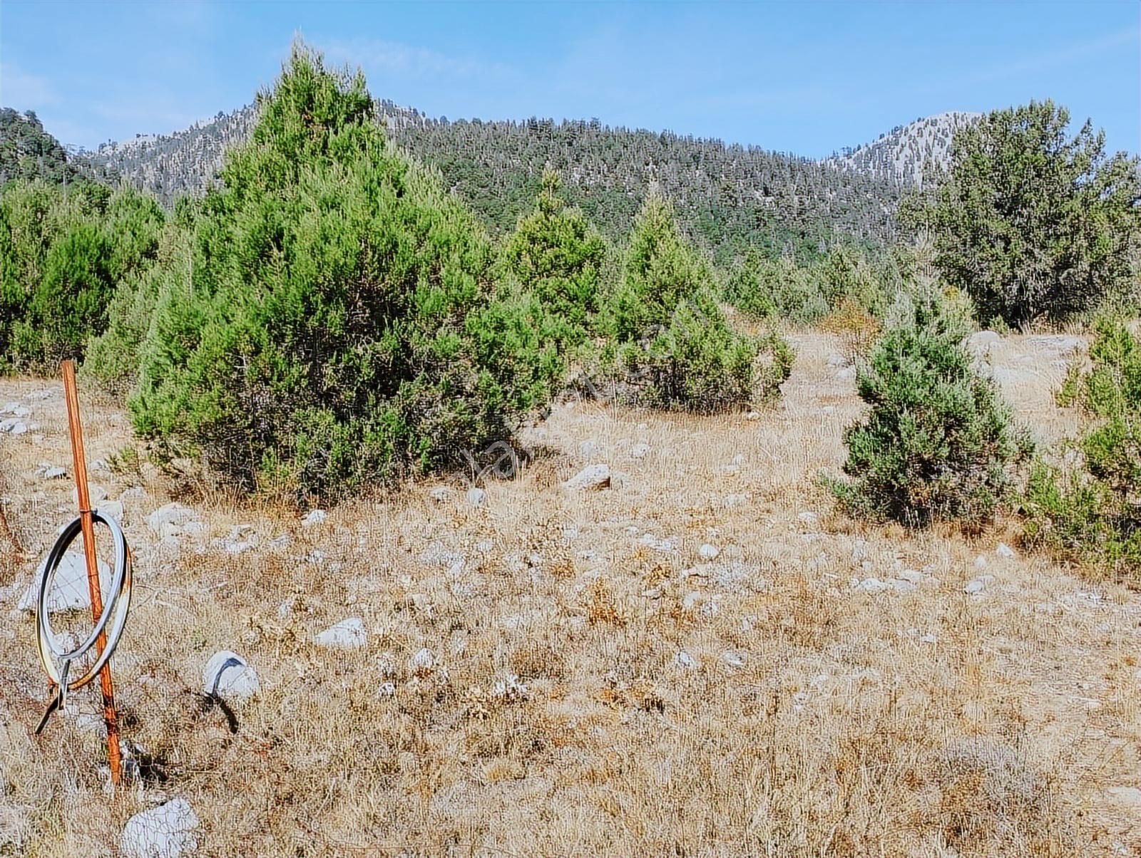 New Form'dan Toroslar Sadiye Mahallesi'nde Satılık 18300 M2tarla - Görsel 11